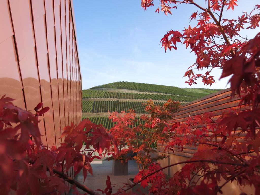 Gut Hermannsberg, Gaestehaus Niederhausen エクステリア 写真