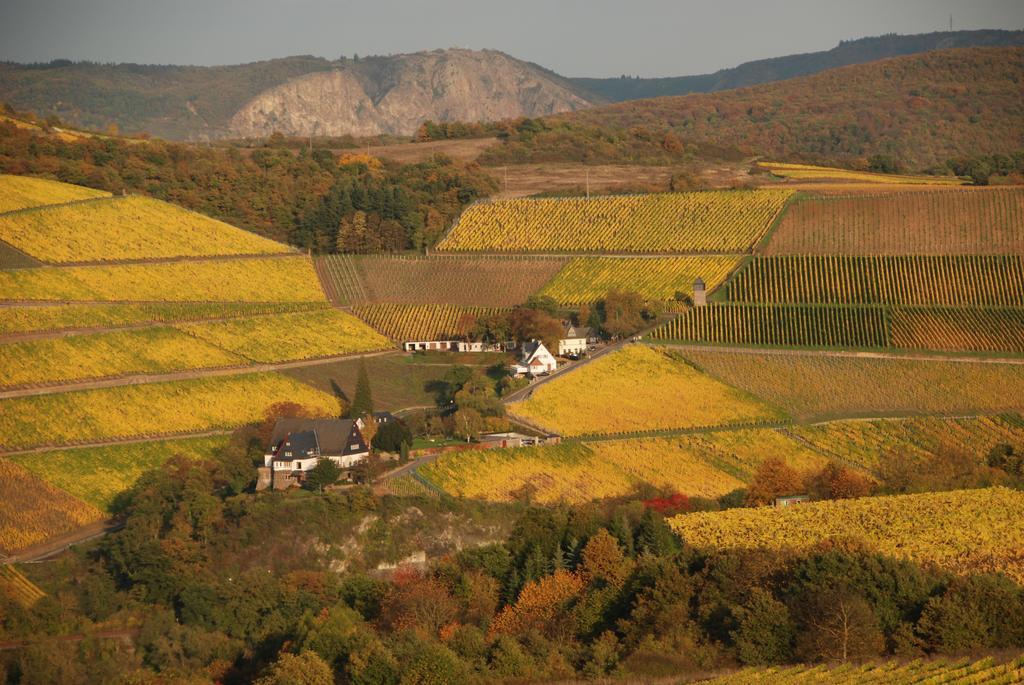 Gut Hermannsberg, Gaestehaus Niederhausen エクステリア 写真