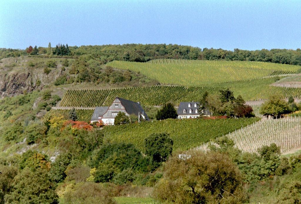 Gut Hermannsberg, Gaestehaus Niederhausen エクステリア 写真