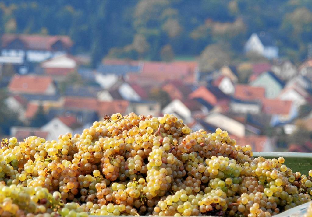 Gut Hermannsberg, Gaestehaus Niederhausen エクステリア 写真