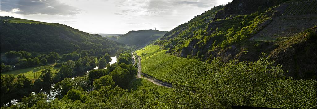 Gut Hermannsberg, Gaestehaus Niederhausen エクステリア 写真