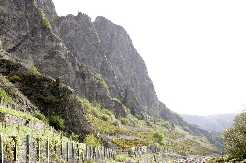 Gut Hermannsberg, Gaestehaus Niederhausen エクステリア 写真